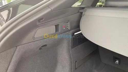 Audi Q5 2021 soprtbag
