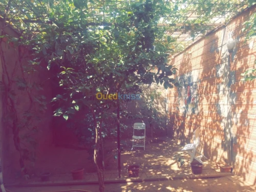 Vente Villa Laghouat Kheneg