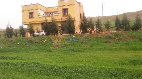 Vente Terrain Chlef Chlef