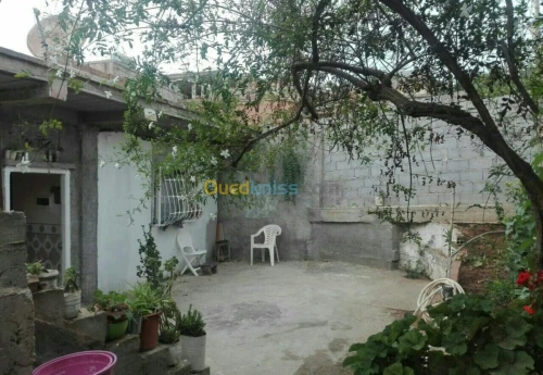 Vente bien immobilier Alger Birtouta
