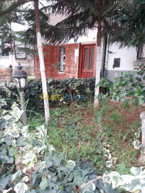 Vente Appartement F4 Alger Bab ezzouar