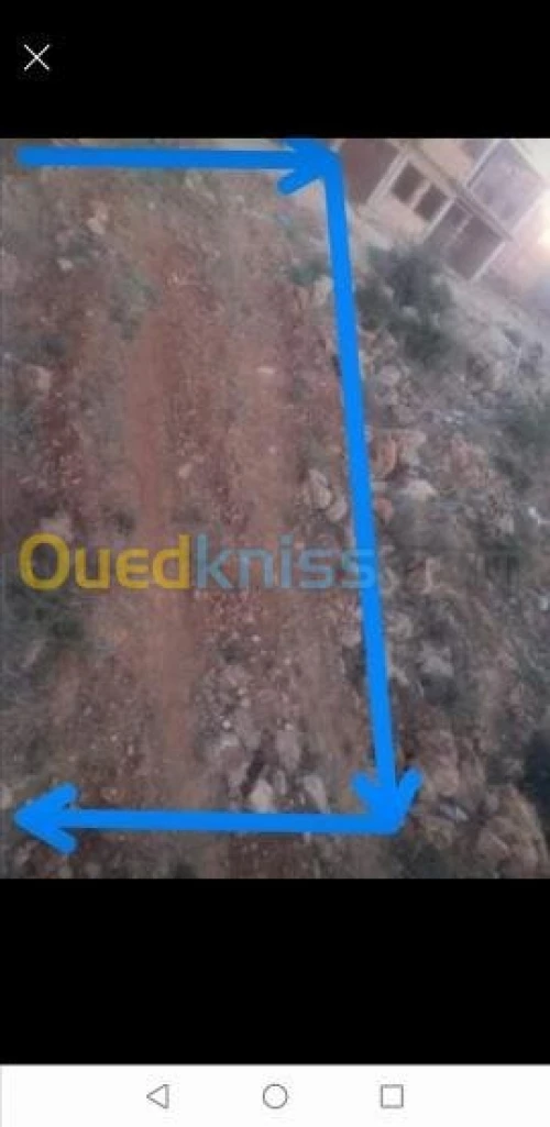 Vente Terrain Tlemcen Tlemcen