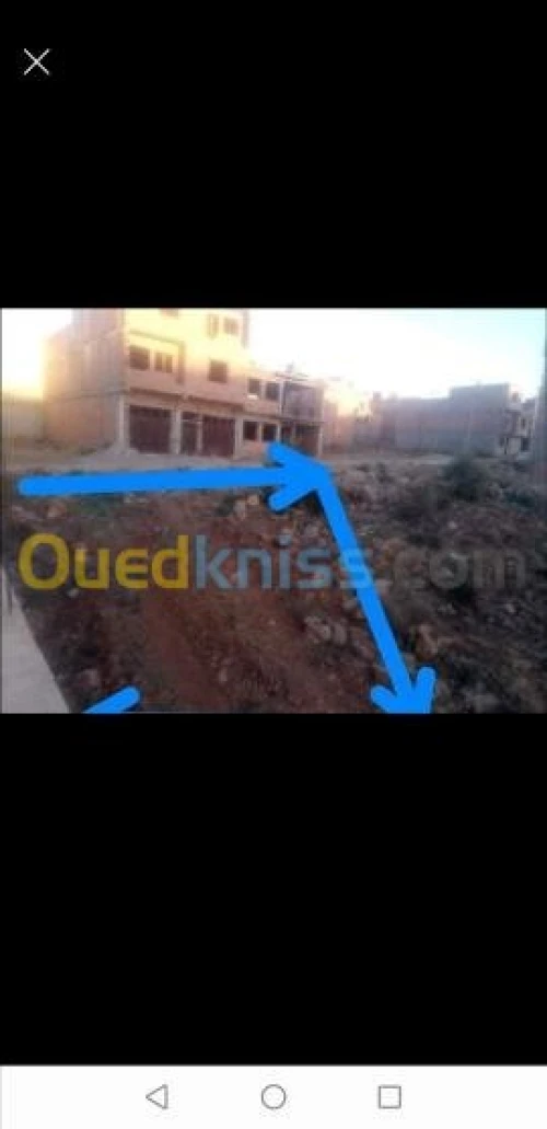 Vente Terrain Tlemcen Tlemcen