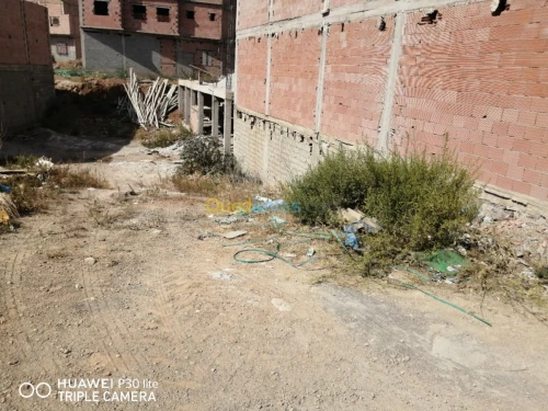 Vente Terrain Tlemcen Tlemcen
