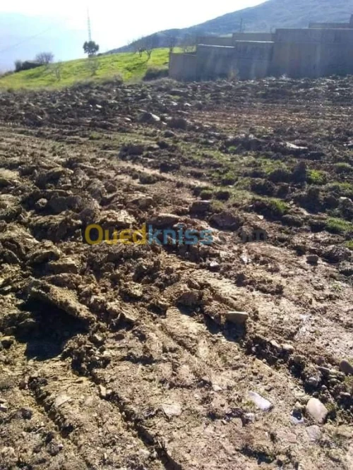 Vente Terrain Bejaia Chelata