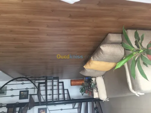 Vente Duplex F6 Alger Birkhadem