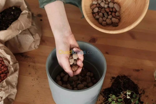 Bille D'Argile 10 Litres 