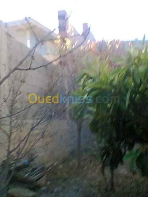 Vente Appartement F3 Batna Teniet el abed