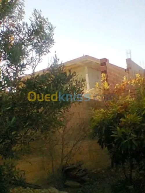 Vente Appartement F3 Batna Teniet el abed