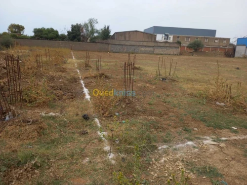 Vente Terrain Alger Birtouta
