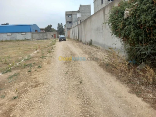 Vente Terrain Alger Birtouta