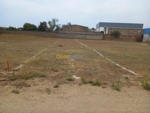 Vente Terrain Alger Birtouta
