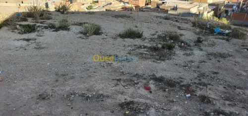 Vente Terrain Oran Arzew