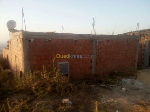 Vente Carcasse Blida Meftah