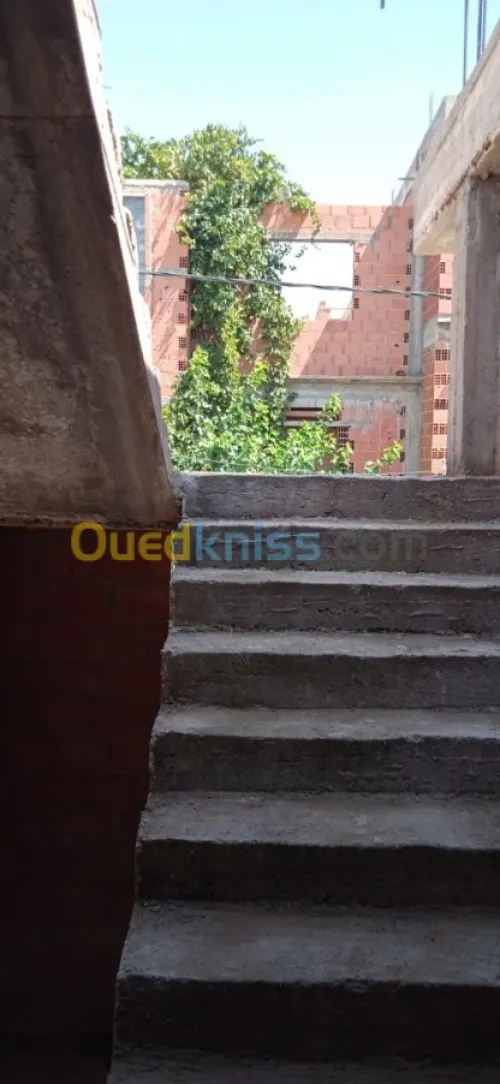 Vente Carcasse Setif El eulma