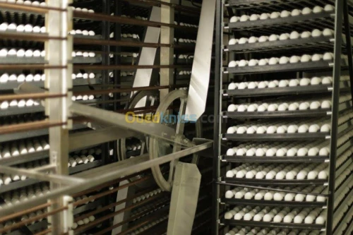 Incubateur 57600 Eclosoir 19200