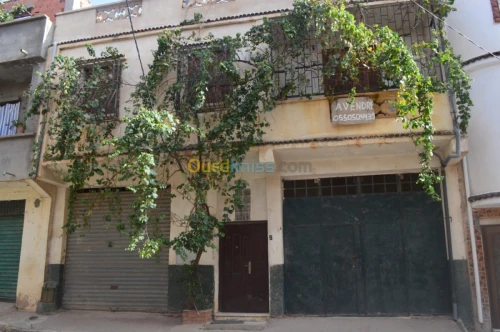 Vente Villa Setif Bougaa
