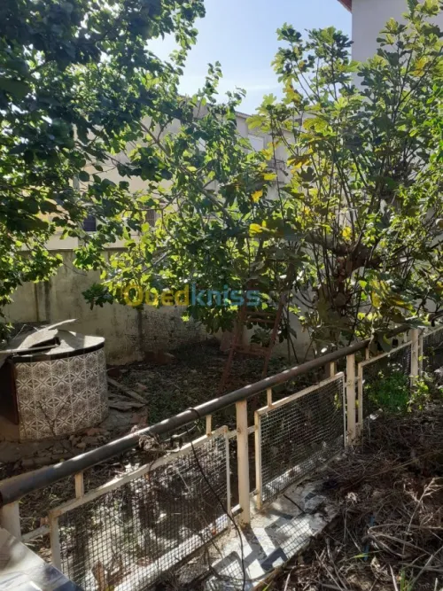 Vente Villa Alger Draria
