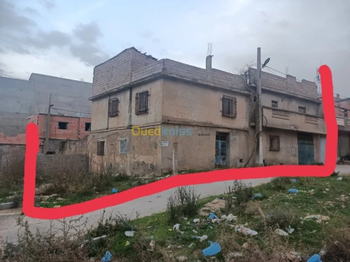Vente bien immobilier Tlemcen Ain youcef