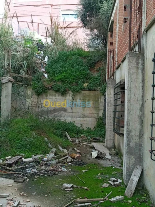 Vente Carcasse Alger Bouzareah