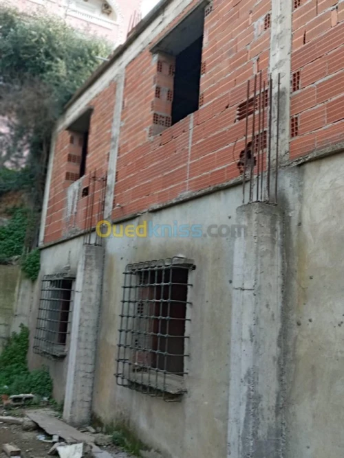 Vente Carcasse Alger Bouzareah