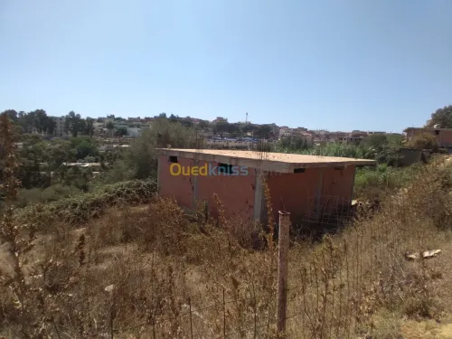 Vente Carcasse Boumerdes Ouled aissa