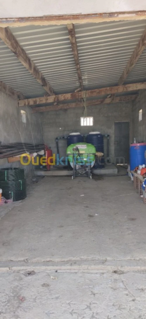 Vente Terrain Agricole Khenchela Kais