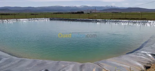 Vente Terrain Agricole Khenchela Kais