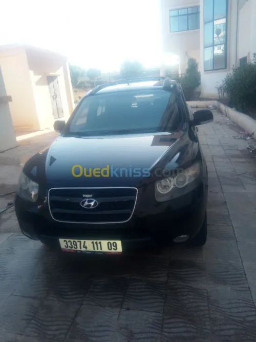 Hyundai SantaFe 2011 