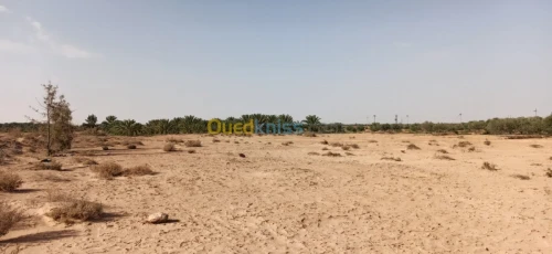 Vente Terrain Agricole El oued El mghair