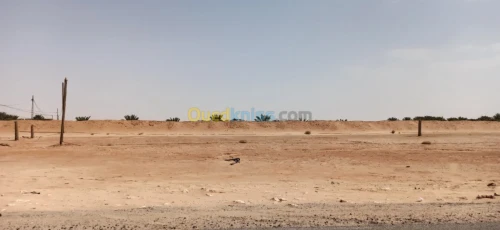 Vente Terrain Agricole El oued El mghair