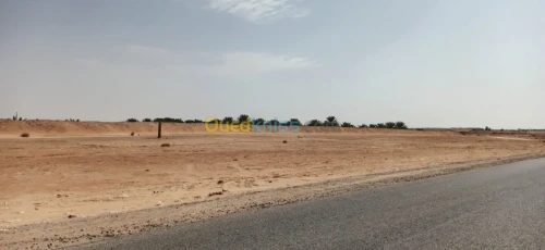 Vente Terrain Agricole El oued El mghair