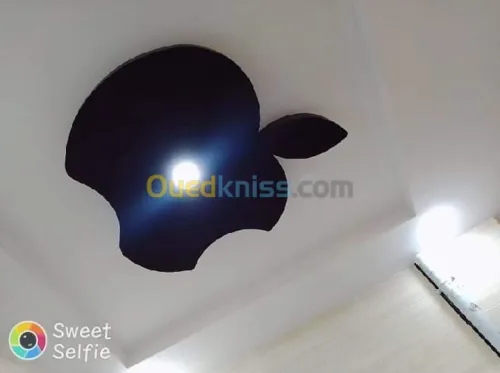 Placo plâtre pvc pinture