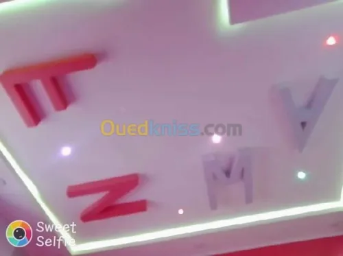 Placo plâtre pvc pinture