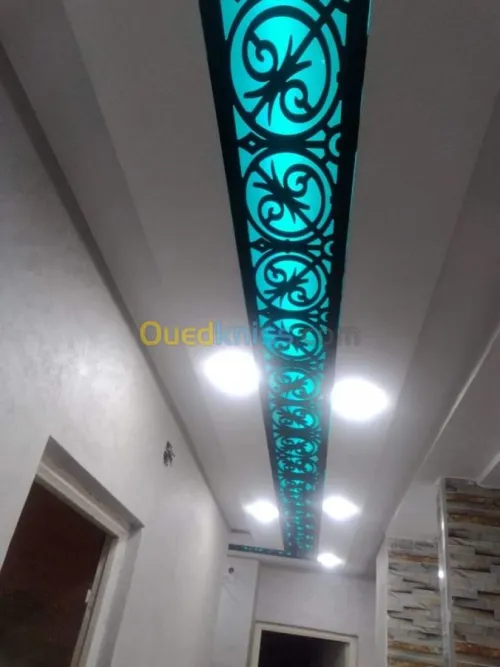 Placo plâtre pvc pinture