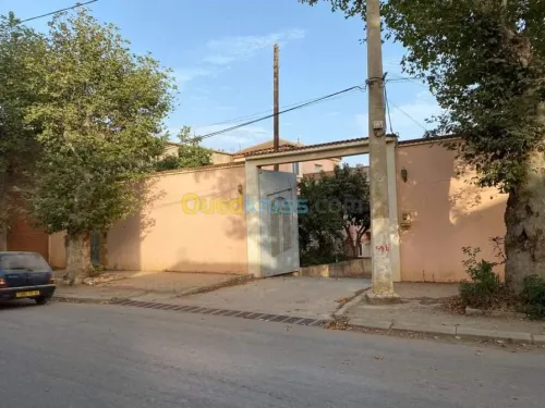 Vente Villa Relizane Zemmoura