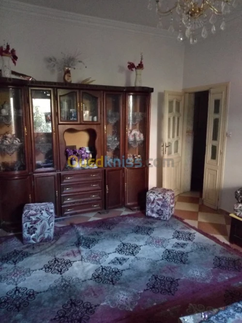 Echange Niveau De Villa F9 Blida Beni tamou