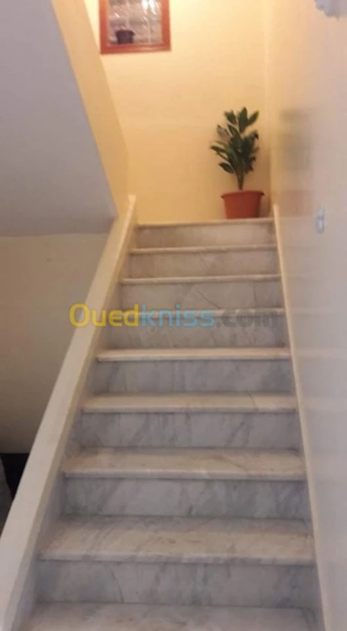 Vente Villa Guelma Guelma