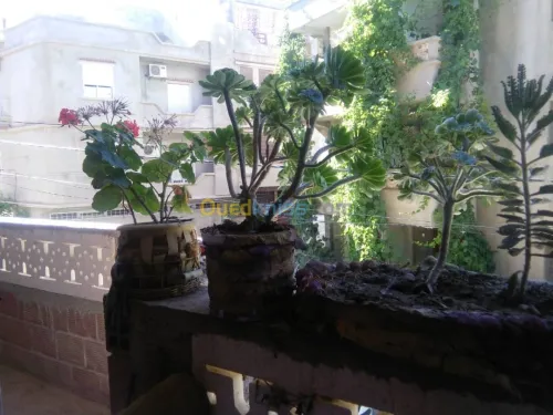 Vente Villa Constantine El khroub