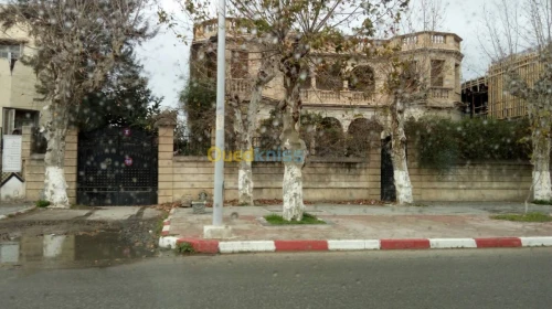 Location Immeuble Blida Blida
