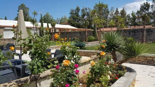 Vente bien immobilier Alger Cheraga