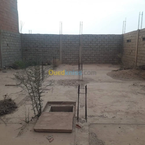 Vente bien immobilier Djelfa Ain maabed