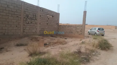 Vente bien immobilier Djelfa Ain maabed