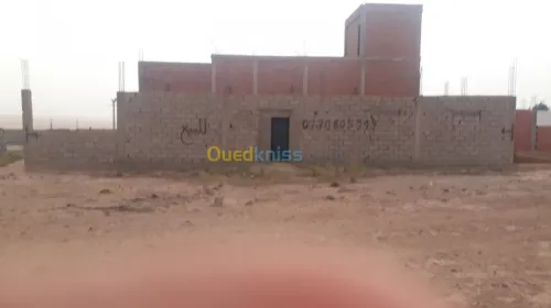 Vente bien immobilier Djelfa Ain maabed