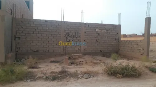 Vente bien immobilier Djelfa Ain maabed