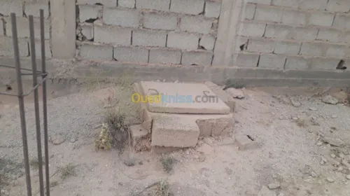 Vente bien immobilier Djelfa Ain maabed
