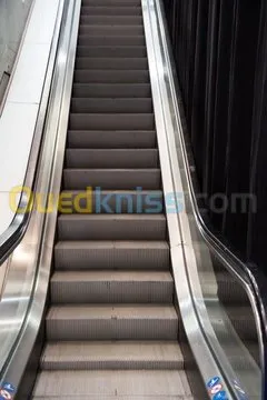 Ascenseurs , Escalateurs 