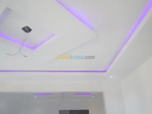 placoplatre
