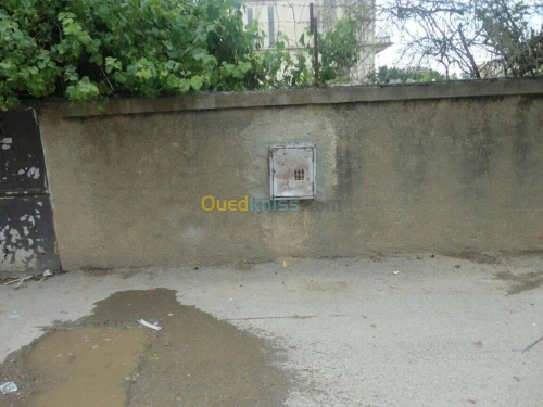 Vente Terrain Blida Larbaa