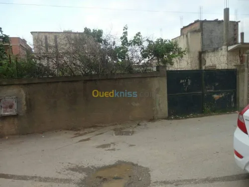 Vente Terrain Blida Larbaa